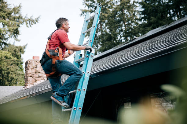 Roof Restoration